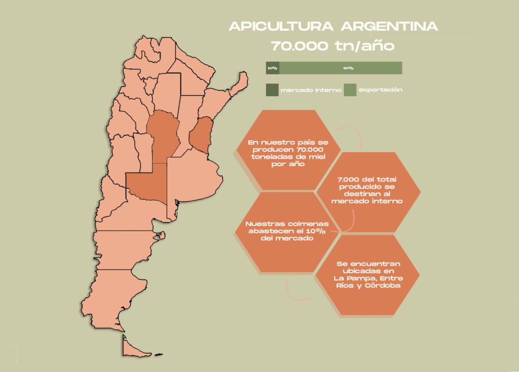 infografía apicultura argentina