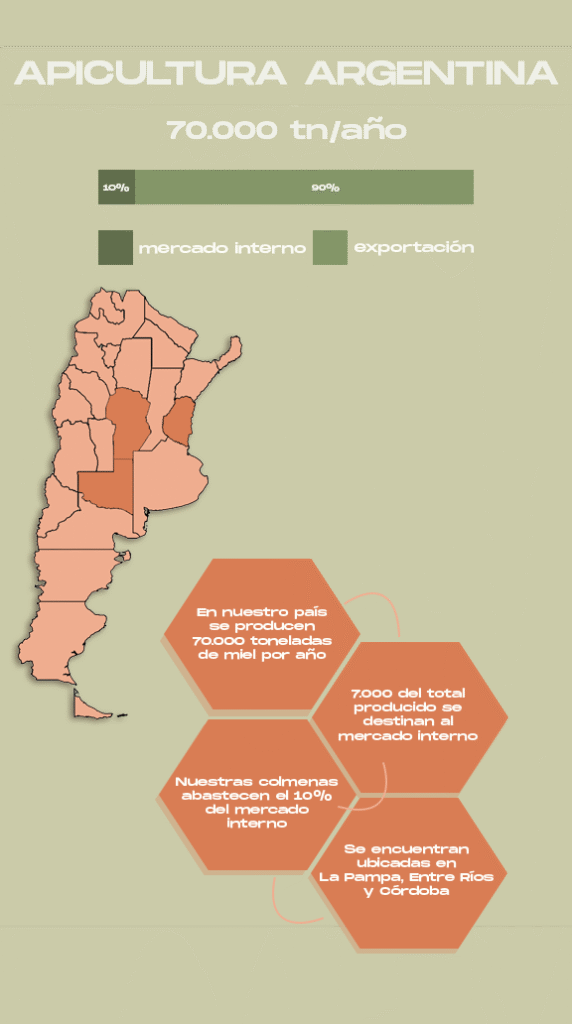 infografía apicultura argentina movil